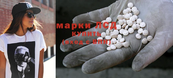 прущие грибы Армянск