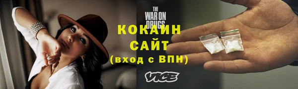прущие грибы Армянск